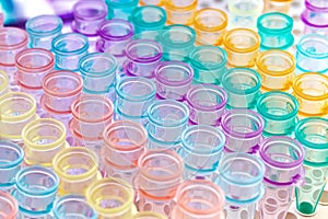 Rack with pcr micro tubes strips