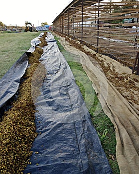 From Rack To Ground Sheet.