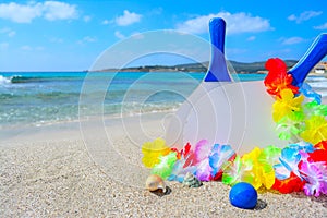 Rackets and shells on a tropical beach