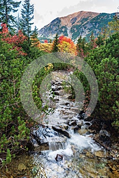 Rackova dolina valley in autumn Western Tatras mountains in Slovakia