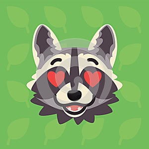 Racoon emotional head. Vector illustration of cute coon with hearts in eyes shows amorous emotion. In love emoji. Smiley