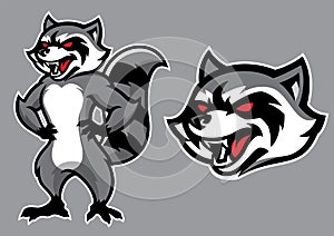 Racoon mascot in set