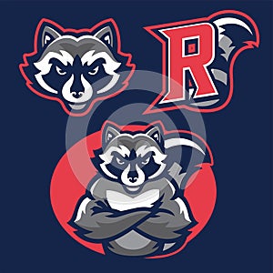 Racoon in sport mascot