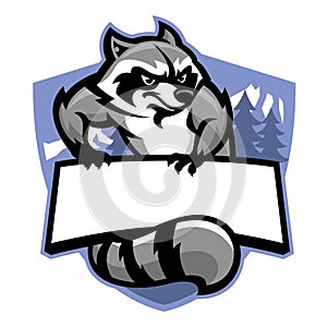 Racoon in sport mascot style in set