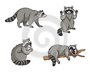 Racoons - vector illustration