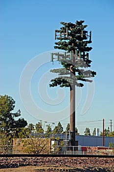 Disfrazada cómo un árbol 