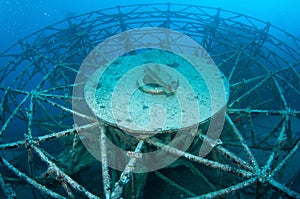 Radar mast on the artifical reef Vandenberg