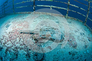 Radar mast on the artifical reef Vandenberg