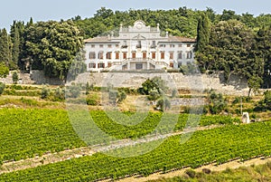 Radda in Chianti - Ancient palace and vineyards