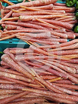 Raddish or gaajar in a super market fruits section photo