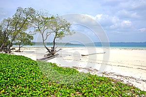 Radhanagar Beach, Havelock Island