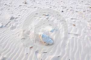 Radhanagar Beach, Havelock Island