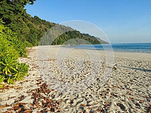 Radhanagar sea beach of andaman nikobar iland is a famous tourist sport ,white sands curved blue ocean with mountains,jungles