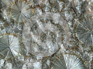 Radial aggregates of pearly wavellite crystal