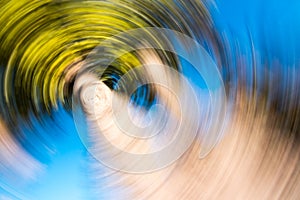 Radial blur palm tree