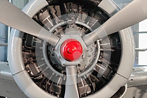 Radial engine of an aircraft.