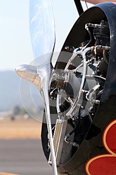 Radial engine detail