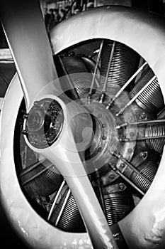 Radial engine of a vintage aircraft with a propeller