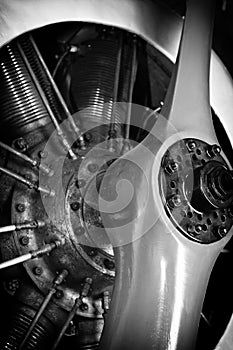 Radial engine of a vintage aircraft with a propeller