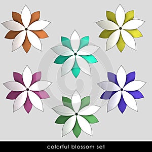 Radial lotos symetry blossoms pack photo
