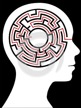 Radial Maze Circular Brain Puzzle in a Head