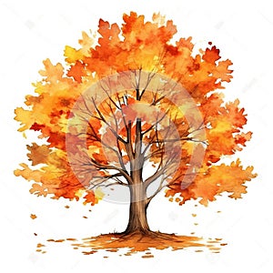 Radiant Essence of Fall: Maple Tree Watercolor Isolated on White Background - Generative AI