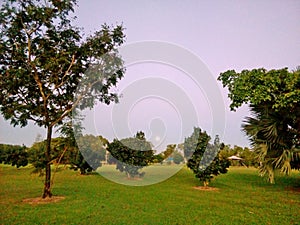 Radiant faraway raising moon during the day, view from park. Darwin, NT Australia