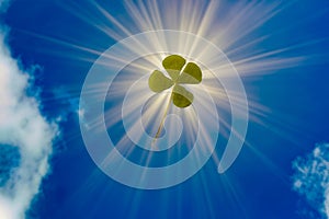 Radiant luck expresses with a four leaf clover and radiant light from the sun