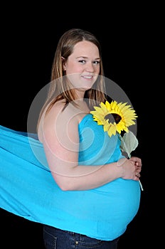 Radiant pregnant woman holding sunflower. isolated