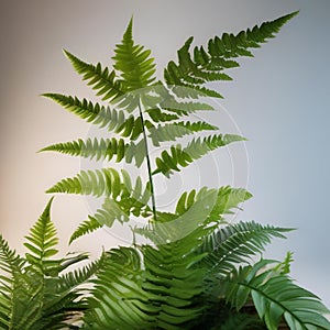 A radiant, sentient fern with fronds that resonate with the music of the universe2