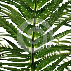A radiant, sentient fern with fronds that resonate with the music of the universe5