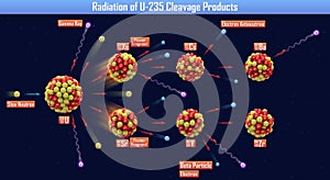 Radiation of U-235 Cleavage Products