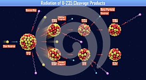 Radiation of U-235 Cleavage Products