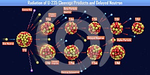 Radiation of U-235 Cleavage Products and Delayed Neutron