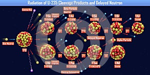 Radiation of U-235 Cleavage Products and Delayed Neutron