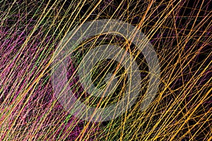 Radiative and glowing lines with gradient lines, 3d rendering