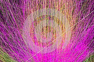 Radiative and glowing lines with gradient lines, 3d rendering