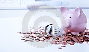 Radiator valve with ceramic piggy bank among coins