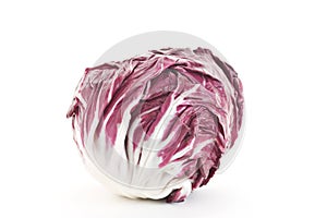 Radicchio