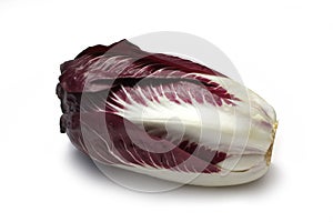 Radicchio