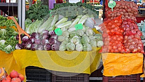 Radicchio Cabbage Market