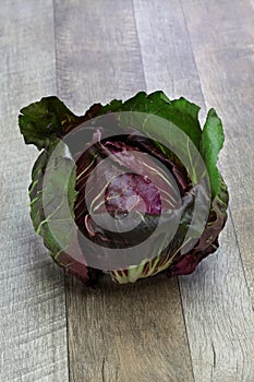 Radicchio chioggia, italian vegetable