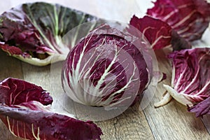 Radicchio chioggia, italian vegetable