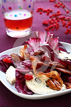 Radicchio and gorgonzola salad photo