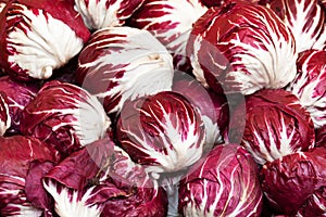 Radicchio heads