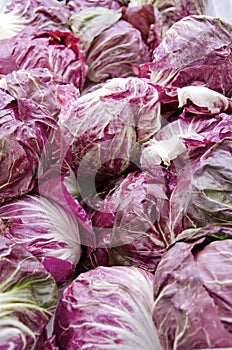 Radicchio photo