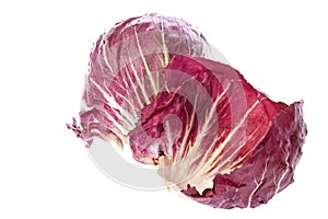 Radicchio or Italian Chicory