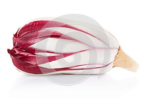 Radicchio, red salad on white