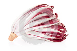 Radicchio, red Treviso chicory