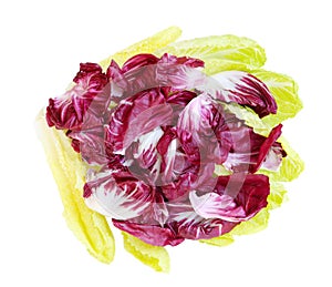 Radicchio and Romance Lettuce